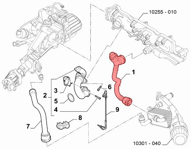 Coolant Water Hose